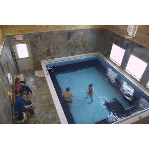 endless pool with treadmill cost